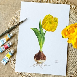 Dipinto ad acquerello originale Tulipano giallo - Illustrazione botanica - Arte floreale - Decorazione murale Tulipano - Opera d'arte fatta a mano - Fiore primaverile