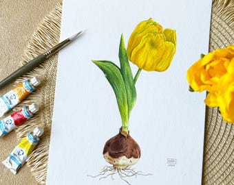 Original akvarellmålning gul tulpan - botanisk illustration - blomsterkonst - tulpanväggdekor - handgjort konstverk - vårblomma
