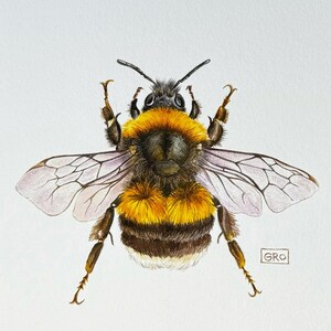 Unique hand-painted artwork: a watercolor bumblebee illustration created with meticulous attention to detail.