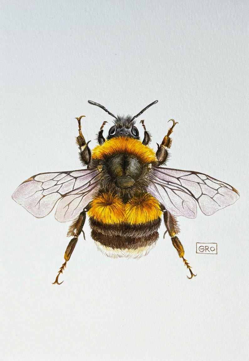 Unique hand-painted artwork: a watercolor bumblebee illustration created with meticulous attention to detail.
