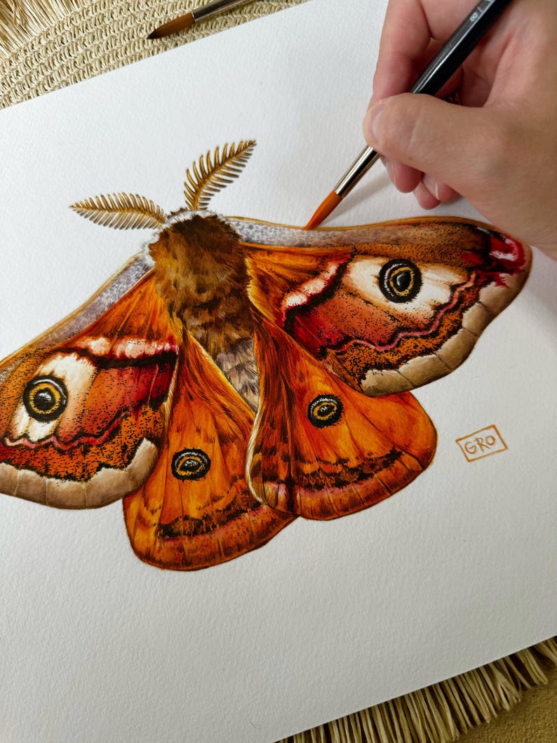 A side view of the Emperor moth illustration, emphasizing the subtle shading and delicate brushwork.