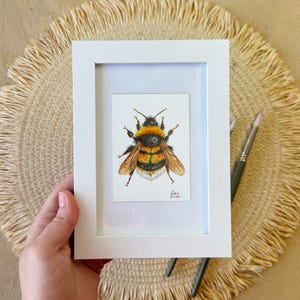 Può includere: Un dipinto ad acquerello incorniciato di un calabrone. L'ape è raffigurata con strisce nere e gialle, ali marroni e dettagli fini. L'opera d'arte è in una cornice bianca, con la firma dell'artista e l'anno 2026 visibili.