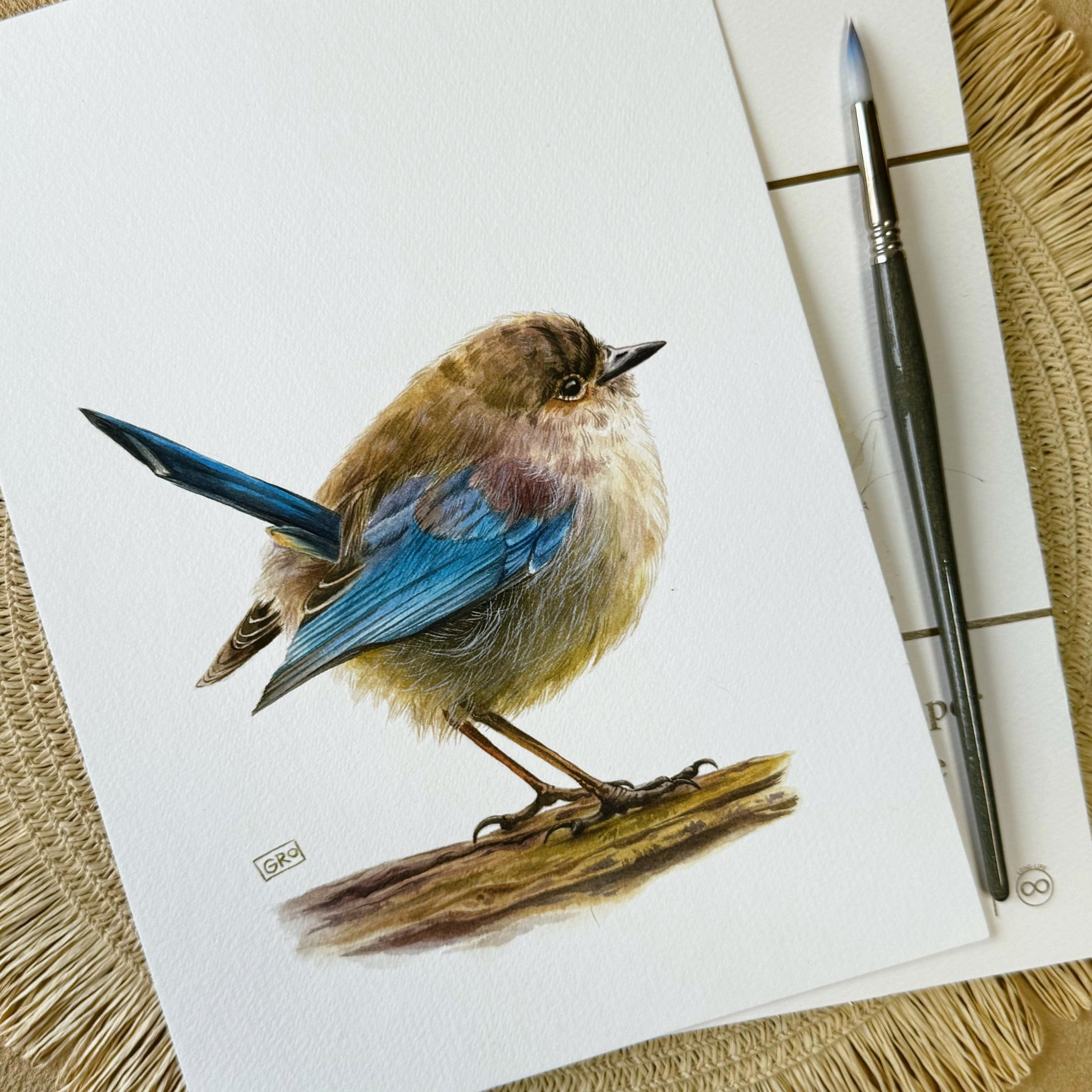 Watercolor Painting of Malurus Splendens Superb Fairy Wren Bird