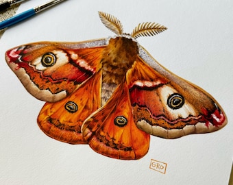 Pintura de acuarela de la polilla emperador – Arte de insectos hecho a mano