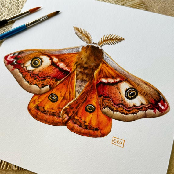 Emperor Moth Watercolor Painting – Handcrafted Insect Art