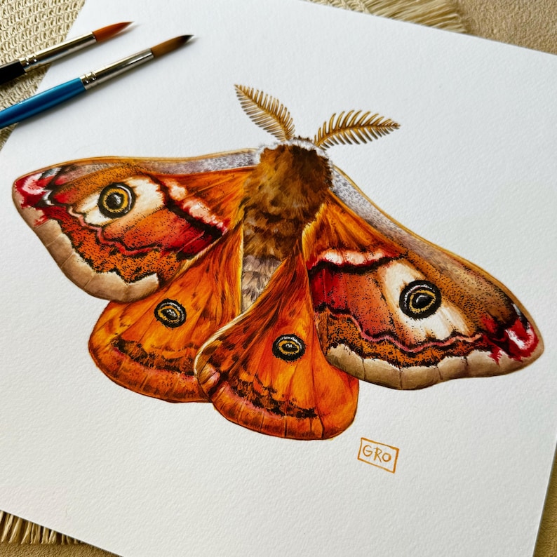 A close-up view of the detailed Emperor moth watercolor illustration, showcasing the intricate patterns on the wings.