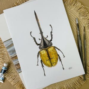 Dynastes Hercules Beetle - Original Watercolor Painting - Insect Art - Wall Decor for Entomologists - Nature-Inspired Beetle Illustration