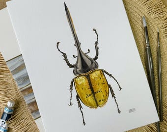 Escarabajo Hércules Dynastes - Acuarela original - Arte de insectos - Decoración de pared para entomólogos - Ilustración de escarabajo inspirada en la naturaleza