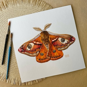 The Emperor moth watercolor art in progress, featuring the artist’s brush and palette alongside the nearly completed painting.