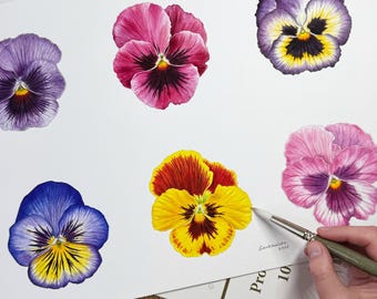 Acuarela original de pensamientos enmarcada – Arte botánico violeta – Decoración floral para pared