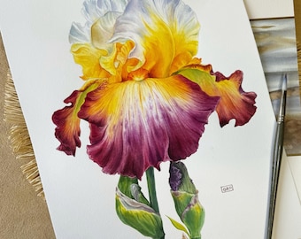 Original Watercolor Iris Flower Painting – Hand-Painted Botanical Wall Art Decor -  Gift for Nature Lovers and Floral Art Enthusiasts