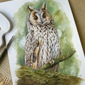 Dipinto ad acquerello con cornice di gufo dalle orecchie lunghe e stravagante - Uccello dipinto a mano - Decorazione unica della fauna selvatica per gli amanti degli uccelli - Regalo per gli amanti della natura - Opera d'arte