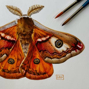 A zoomed-in shot of the Emperor moth painting, capturing the delicate textures of the moth's wings.