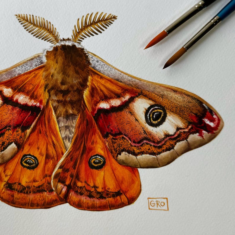A zoomed-in shot of the Emperor moth painting, capturing the delicate textures of the moth's wings.