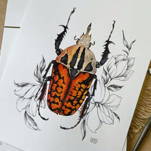 Mecynorhina Beetle Art - Original Watercolor Painting – Insect Illustration – Entomology Lover Gift – Nature Wall Decor – Bug Artwork