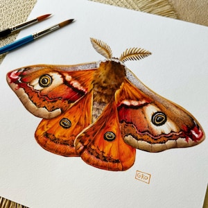 The Emperor moth artwork displayed alongside art tools, emphasizing the handmade, original nature of the illustration.