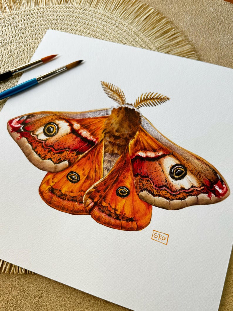 The Emperor moth artwork displayed alongside art tools, emphasizing the handmade, original nature of the illustration.