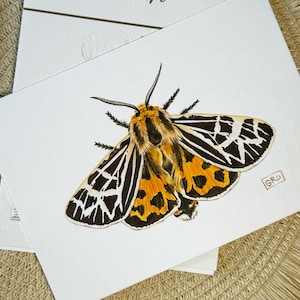 Skurrile Entomologie Illustration - Handgefertigtes Aquarell Bild von Apantesis Ornata Motte - Insekt Dekor - Wand dekor