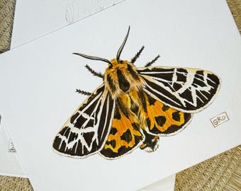 Ilustración de entomología caprichosa: pintura de acuarela artesanal de la polilla Apantesis ornata. Decoración de insectos. Decoración de pared.