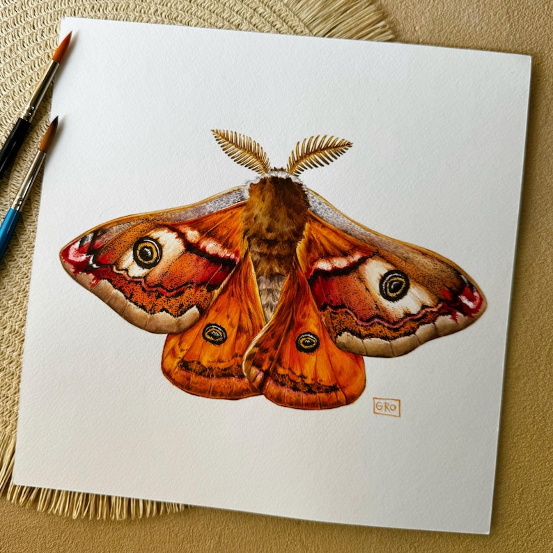 The Emperor moth watercolor painting held up against a white background, showing the contrast between the soft colors and the bold patterns.
