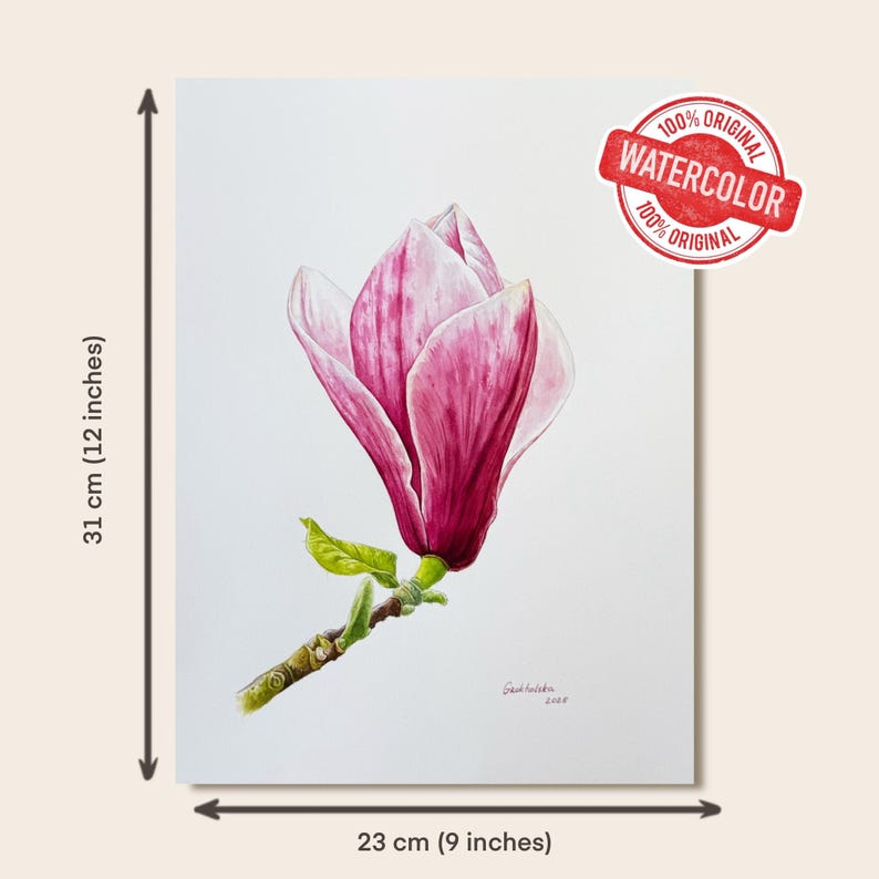 Pink Magnolia Original Watercolor Painting, Botanical Flower Wall Art ...