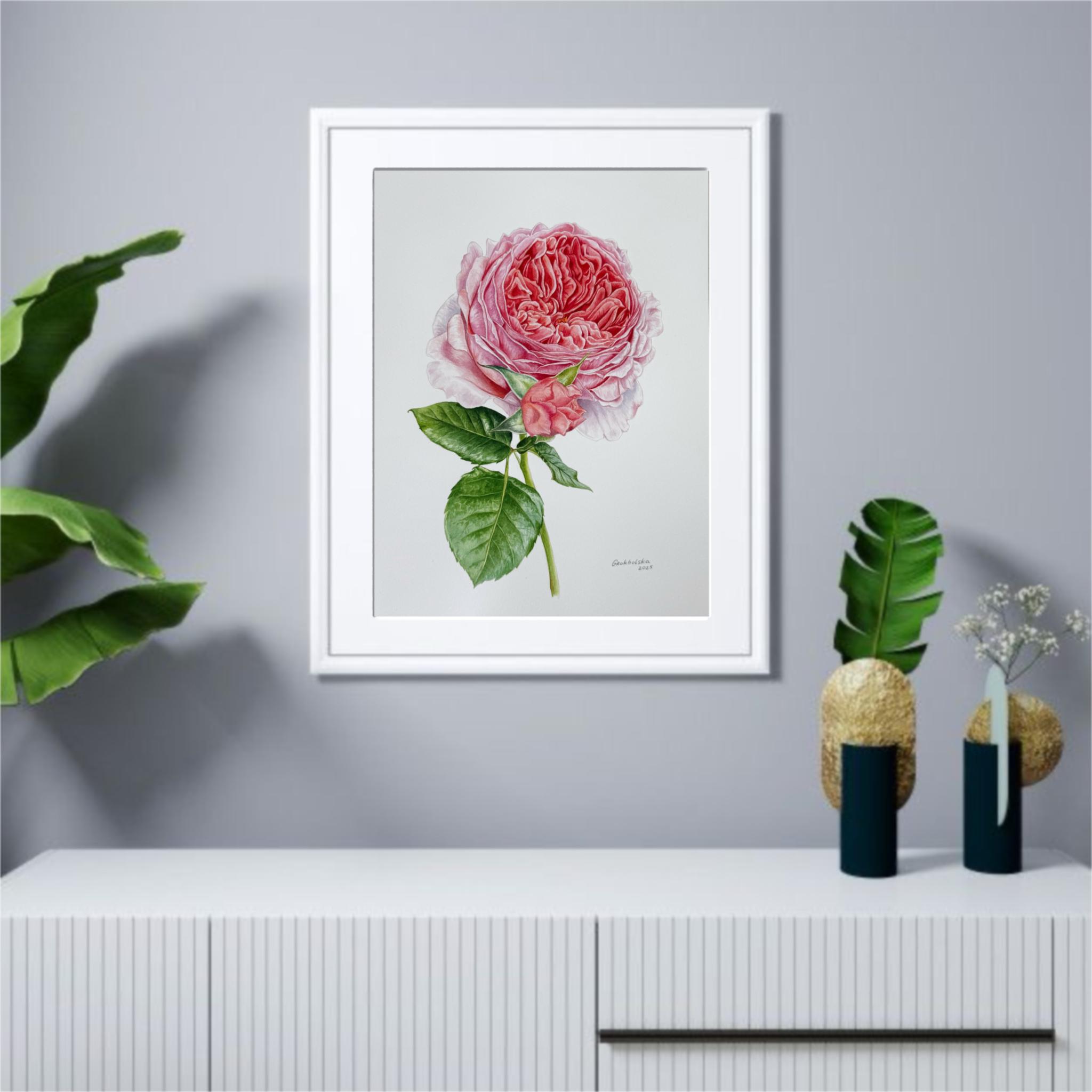 Original Pink Rose Watercolor Painting - Botanical Floral Art - Flower ...