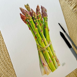 Original Asparagus Watercolor Painting for Kitchen Decor - Botanical Kitchen Art for Food Lovers - Watercolor Art - Chef Gift