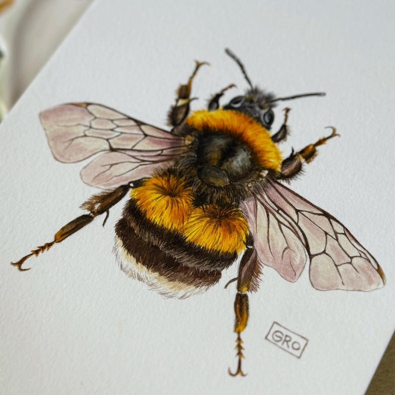 Watercolor bumblebee illustration – a striking accent for your decor.