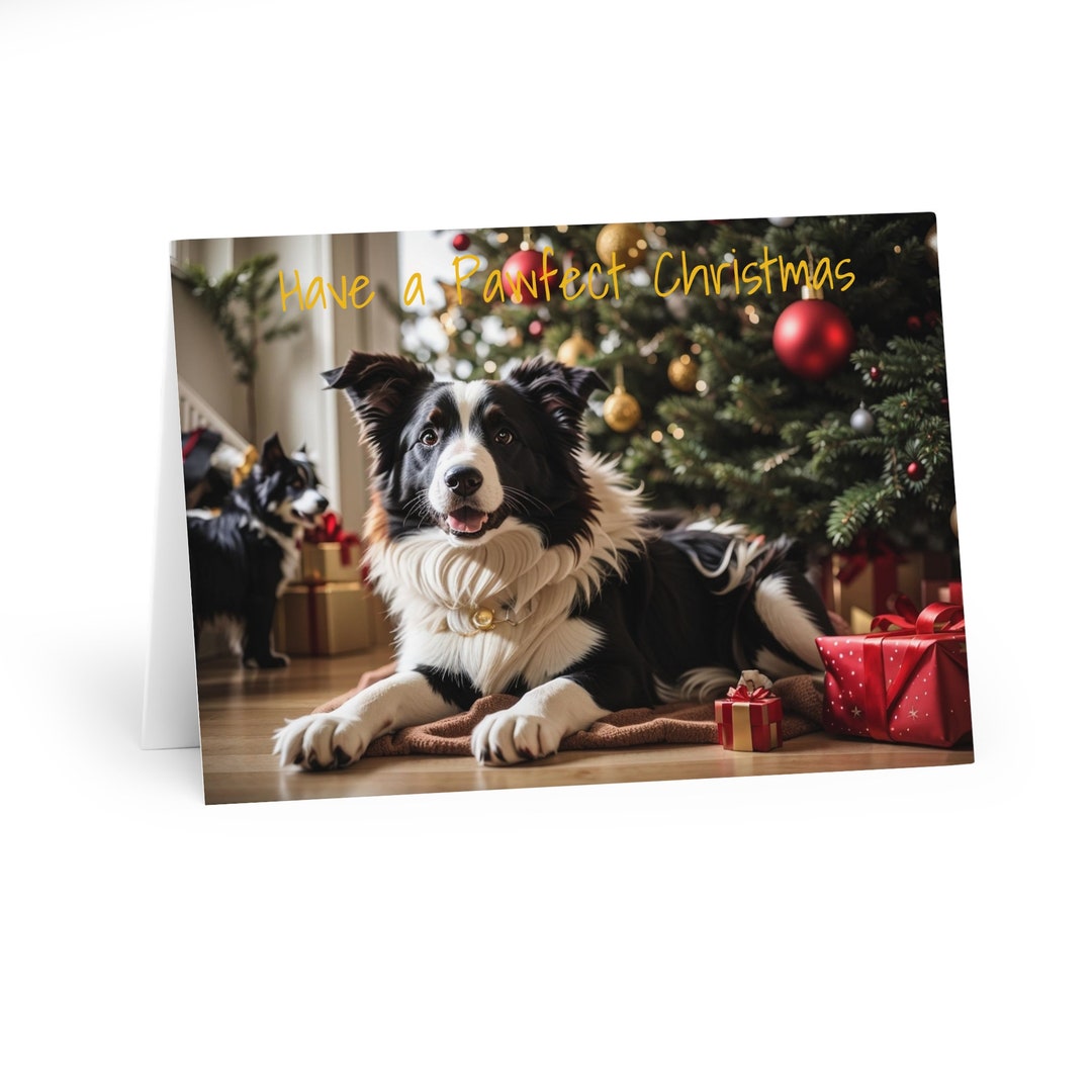 Gorgeous Border Collie Christmas Cards (5 Pack) - Etsy