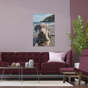 Adorable Weimaraner Puppy, Indoor and Outdoor Silk Posters
