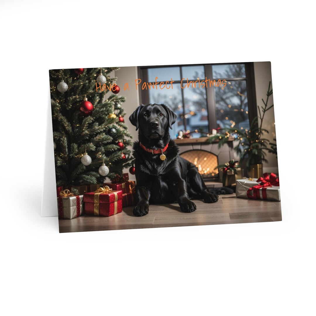 5 Pack Black Labrador Christmas Cards 5 Pack Etsy UK