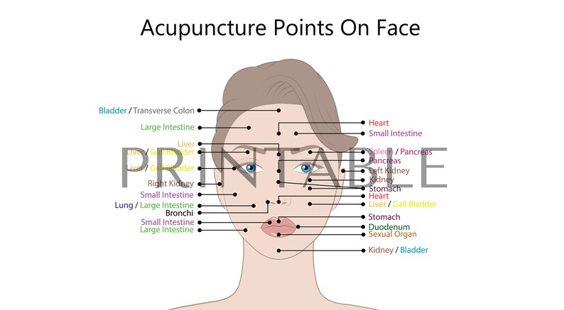 Acupuncture Points On Face Chart Chinese Medicine Art digital