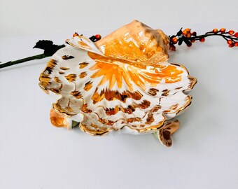 Vintage Porcelain Shell Dish: White Ceramic Ocean Vase, USSR