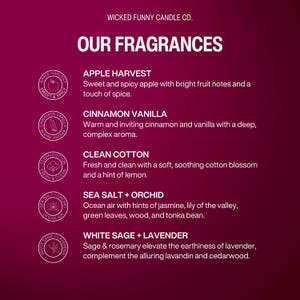 Smells Like a Padres Win Candle | San Diego Padres Baseball Candle | Game Day Decor | Funny Padres Gift For Him | Lucky Padres Candle image 5