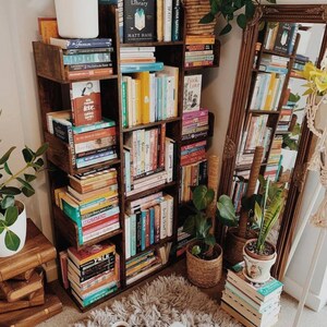 Unique Anxiety Bookshelf Wooden Library Shake Away Your Anxiety