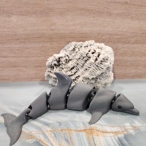 3D printed Dolphin, Fidget fish,3D Printed Fish, Dolphin, Fidget Toy for Desk, Sea Life Gifts, Articulated Toys, Gift