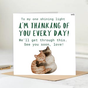 Biglietto personalizzato, anche a chilometri di distanza, il mio cuore è sempre con te - Invio un abbraccio gigante di gatto ogni singolo giorno - Contando i giorni fino al nostro abbraccio 6x6