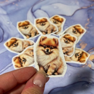 Lindas pegatinas pomerania set 1 - 10 pegatinas perfectas para manualidades, diarios, tarjetas, álbumes de recortes, etc.