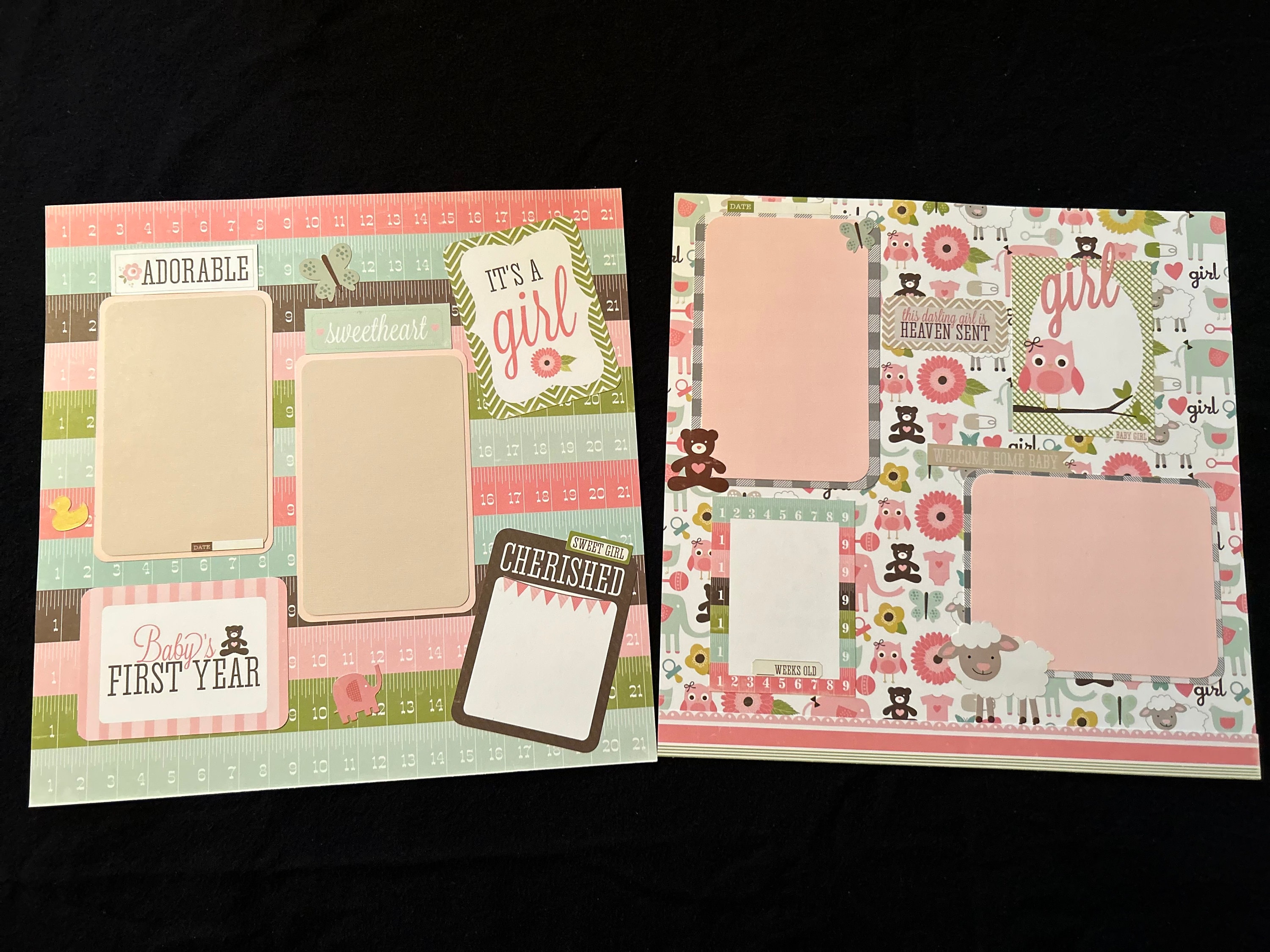 Adorable Newborn Baby Girl 12x12 Scrapbook Page Layout Idea! - Scrappin's A  Hoot