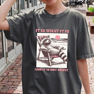 It Is What It Is And It Is Not Great Funny T-Shirt for Women and Men Funny Raccoon Tee Comfort Colors Mental Health Shirt