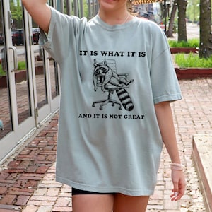 It Is What It Is And It Is Not Great Funny T-Shirt for Women and Men Funny Raccoon Tee Comfort Colors Mental Health Shirt