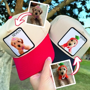 Puede incluir: Dos gorras de béisbol con corona beige y visera roja. Cada gorra presenta un parche con una imagen de perro y la palabra "SEVEN". Un perro lleva un lazo rosa, el otro un disfraz de zanahoria. Las gorras se sostienen contra un fondo verde borroso.