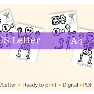 May include: White paper with black skeleton illustrations. The image includes the text "US Letter" and "A4". The word "SKELETON" is written on the bottom of the skeleton illustrations. The image also includes the text "Ready to print", "Digital", and "PDF file".