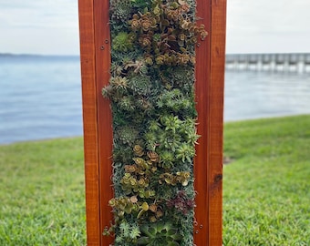 REAL , CUSTOM Order 39” Living Green Wall / Vertical Garden / Succulent Art (All-Weather , Cold Hardy , Heat Tolerant) *FREE Shipping*
