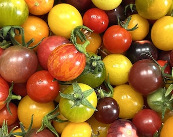 Mezcla de cerezas tradicionales / Semillas de tomate / Tradicionales