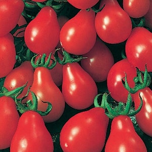Red Pear Tomato Seeds | Heirloom