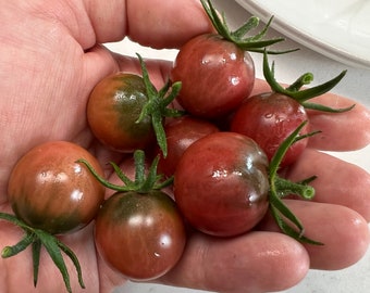 Black Cherry Tomato Seeds | Heirloom | Organic