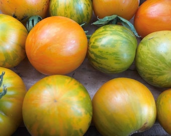 Semi di pomodoro zebra albicocca