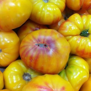 Striped German Tomato Seeds