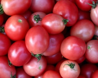 Semillas de tomate huevo tailandés rosado / Heirloom